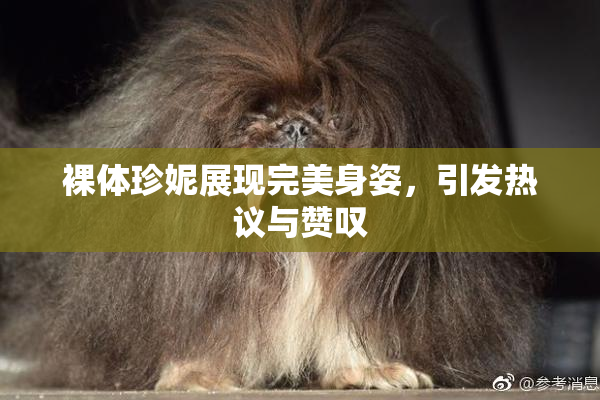 裸体珍妮展现完美身姿，引发热议与赞叹
