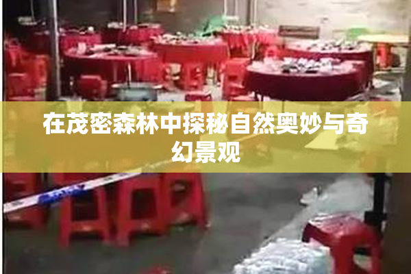 在茂密森林中探秘自然奥妙与奇幻景观