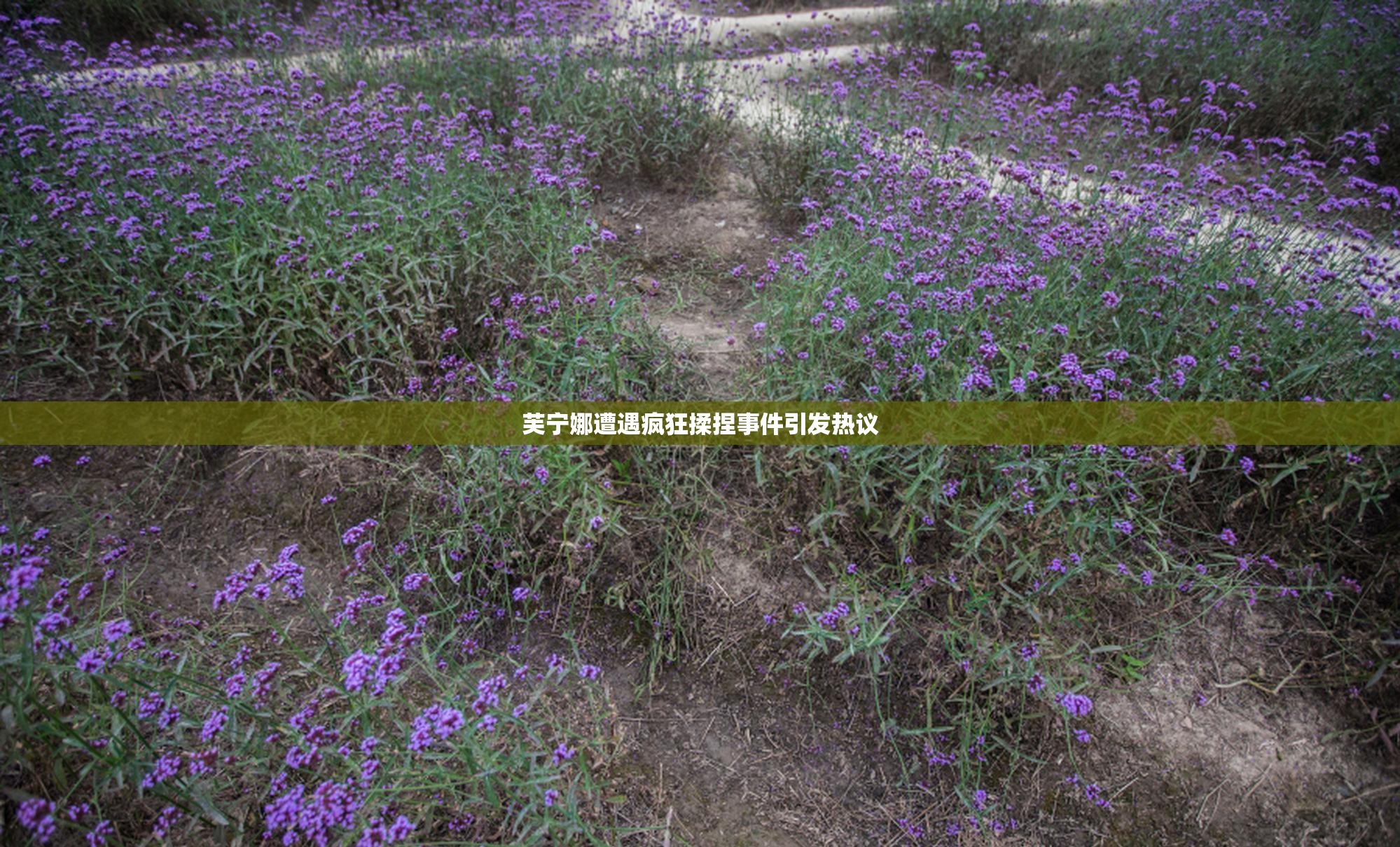 芙宁娜遭遇疯狂揉捏事件引发热议