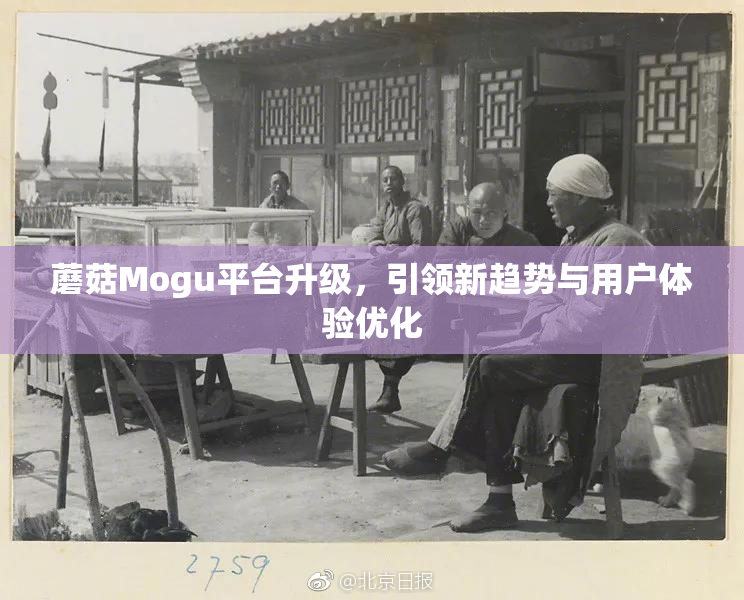蘑菇Mogu平台升级，引领新趋势与用户体验优化