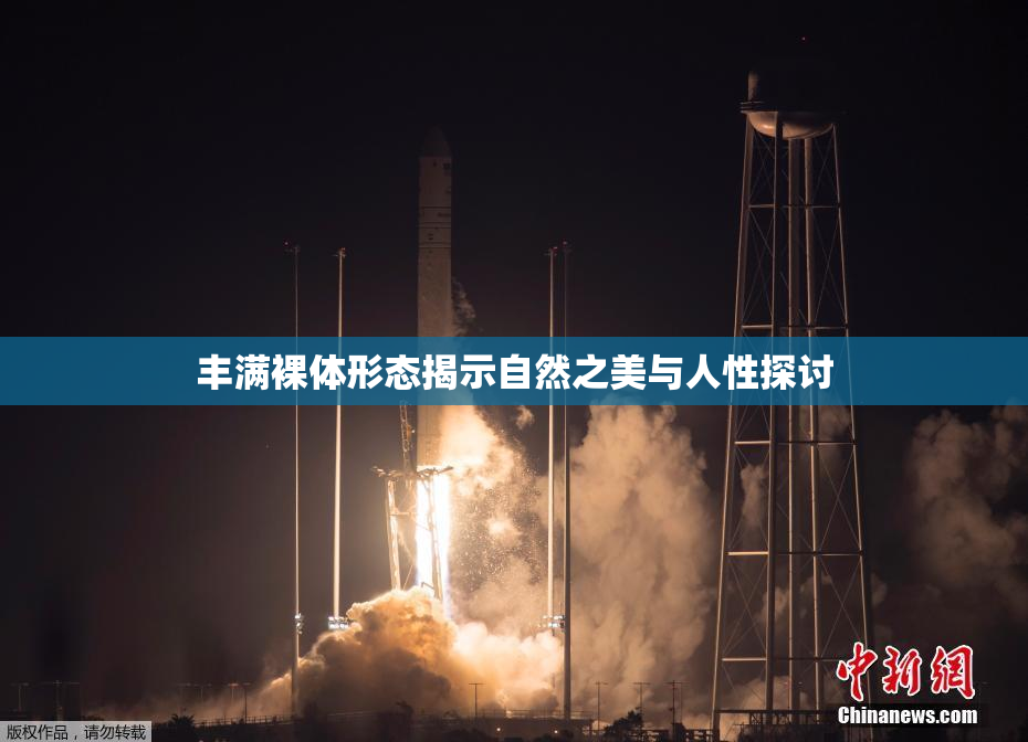 丰满裸体形态揭示自然之美与人性探讨