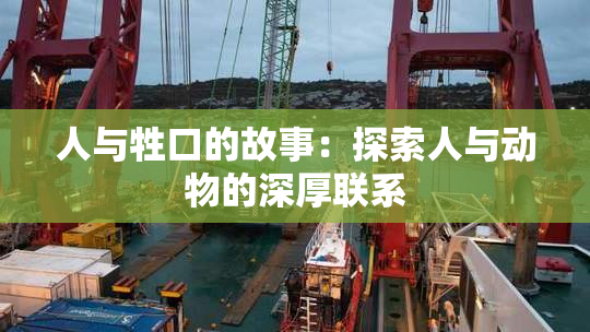 人与牲口的故事：探索人与动物的深厚联系