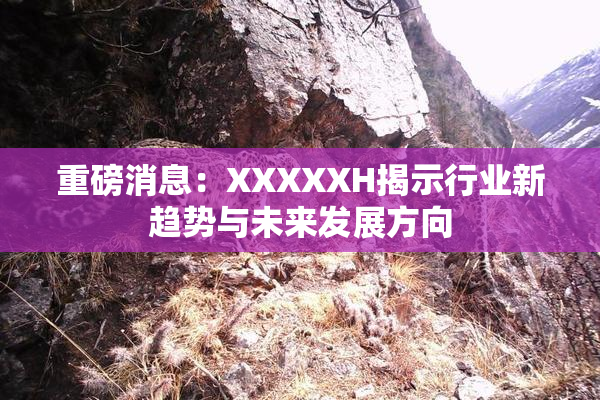 重磅消息：XXXXXH揭示行业新趋势与未来发展方向