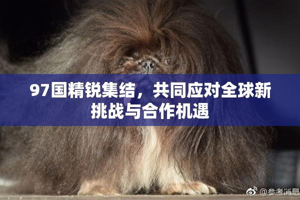 97国精锐集结，共同应对全球新挑战与合作机遇