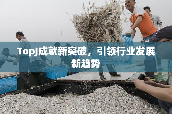 TopJ成就新突破，引领行业发展新趋势