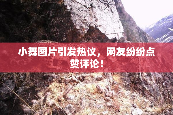 小舞图片引发热议，网友纷纷点赞评论！