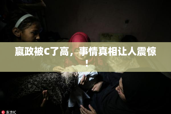 嬴政被C了高，事情真相让人震惊！