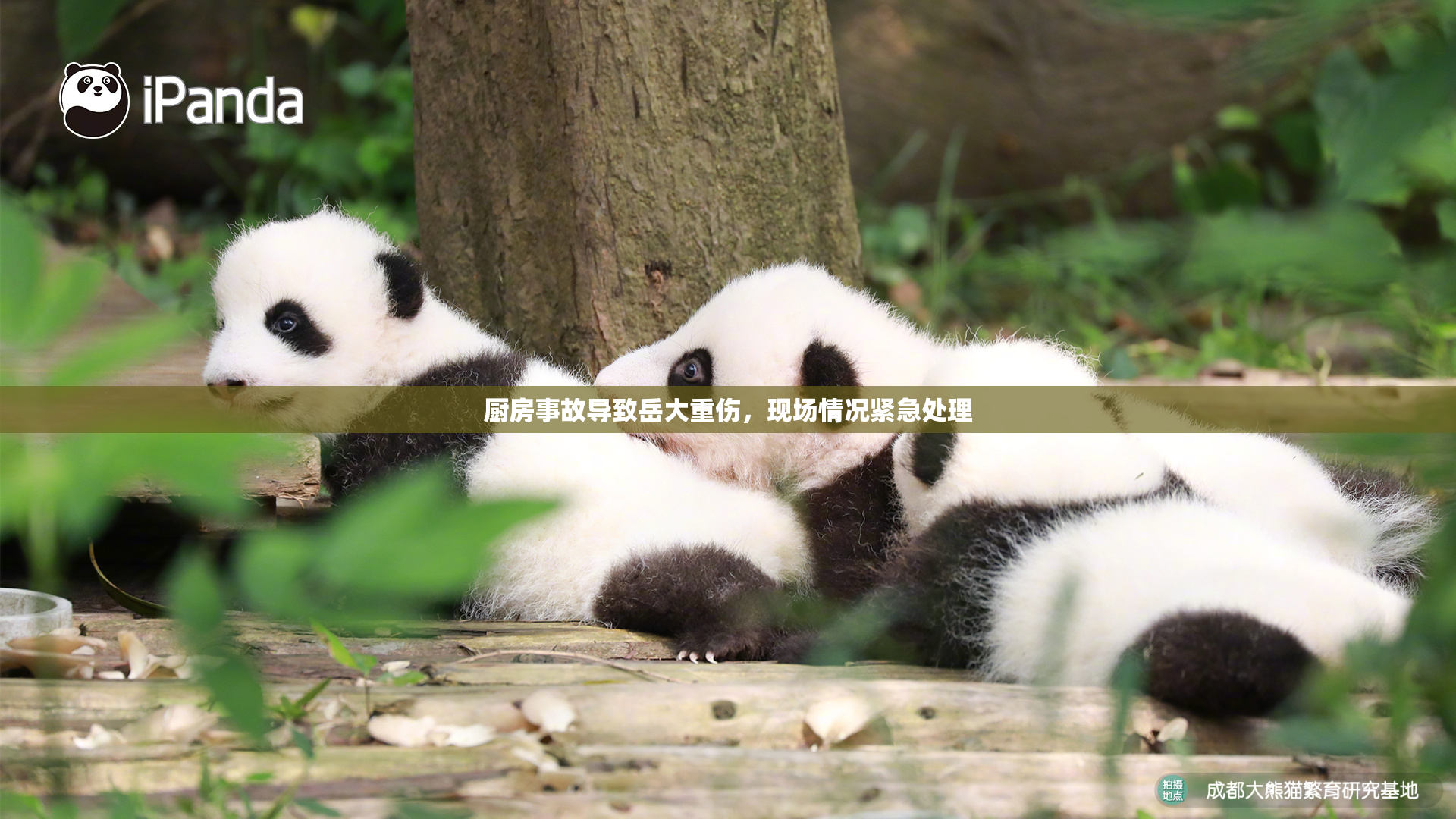 厨房事故导致岳大重伤，现场情况紧急处理