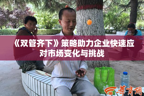 《双管齐下》策略助力企业快速应对市场变化与挑战
