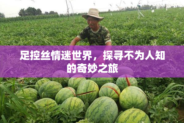 足控丝情迷世界，探寻不为人知的奇妙之旅