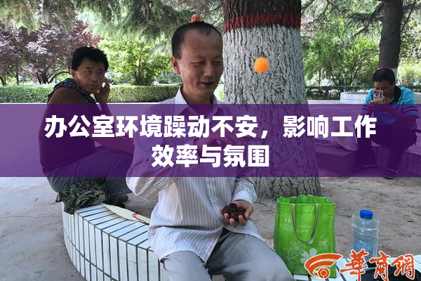 办公室环境躁动不安，影响工作效率与氛围