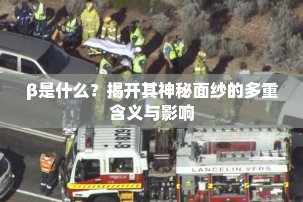 β是什么？揭开其神秘面纱的多重含义与影响