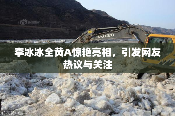 李冰冰全黄A惊艳亮相，引发网友热议与关注
