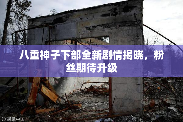 八重神子下部全新剧情揭晓，粉丝期待升级