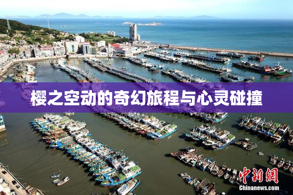 樱之空动的奇幻旅程与心灵碰撞