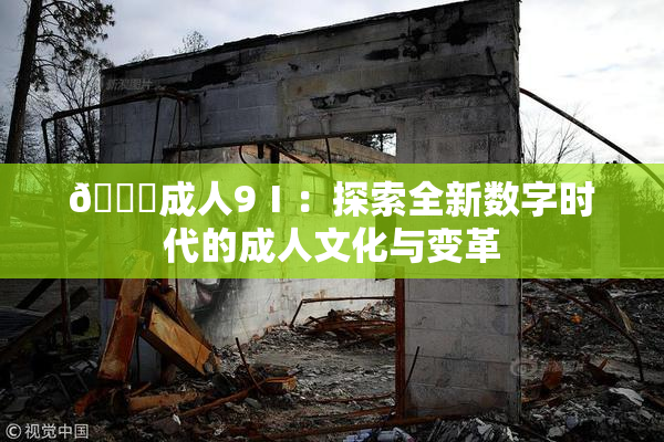 🔞成人9Ⅰ：探索全新数字时代的成人文化与变革