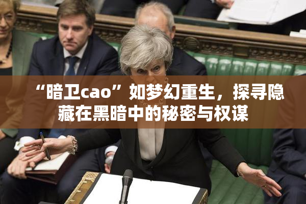 “暗卫cao”如梦幻重生，探寻隐藏在黑暗中的秘密与权谋