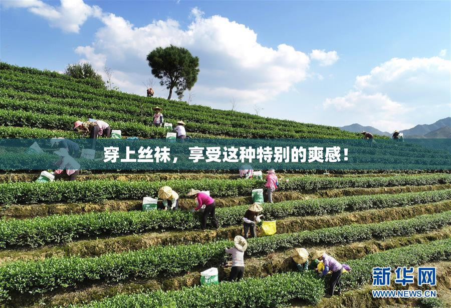 穿上丝袜，享受这种特别的爽感！