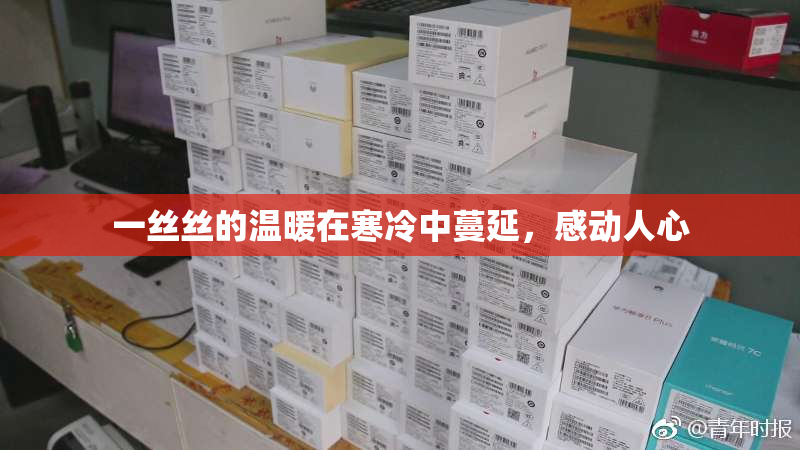 一丝丝的温暖在寒冷中蔓延，感动人心