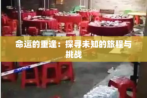 命运的重逢：探寻未知的旅程与挑战