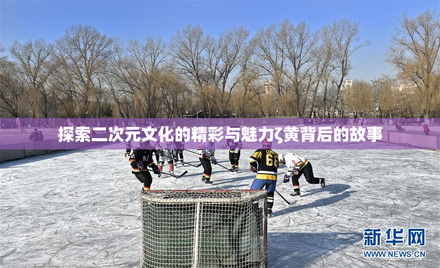 探索二次元文化的精彩与魅力ζ黄背后的故事