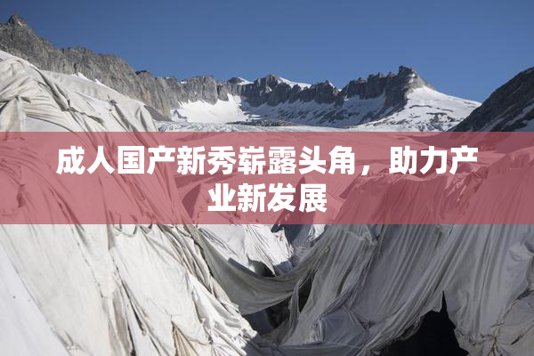 成人国产新秀崭露头角，助力产业新发展