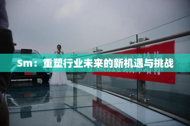 Sm：重塑行业未来的新机遇与挑战