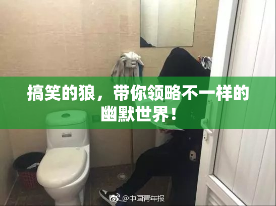 搞笑的狼，带你领略不一样的幽默世界！