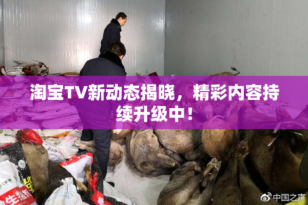 淘宝TV新动态揭晓，精彩内容持续升级中！
