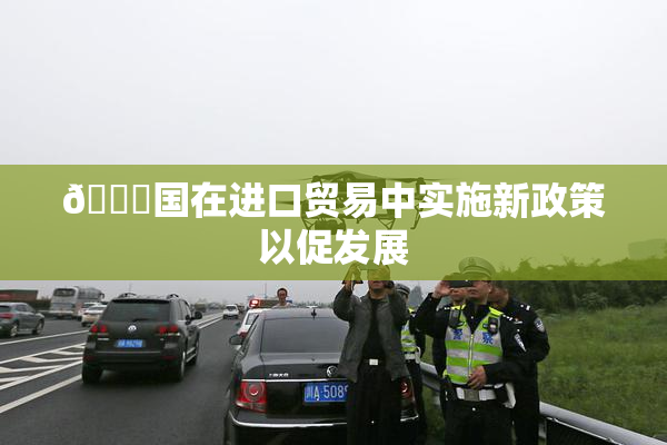 🔞国在进口贸易中实施新政策以促发展