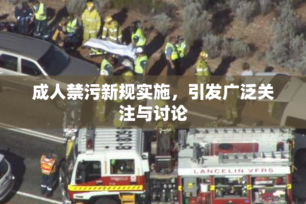成人禁污新规实施，引发广泛关注与讨论