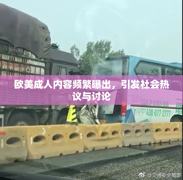 欧美成人内容频繁曝出，引发社会热议与讨论