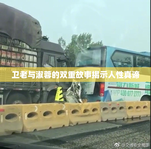 卫老与淑蓉的双重故事揭示人性真谛