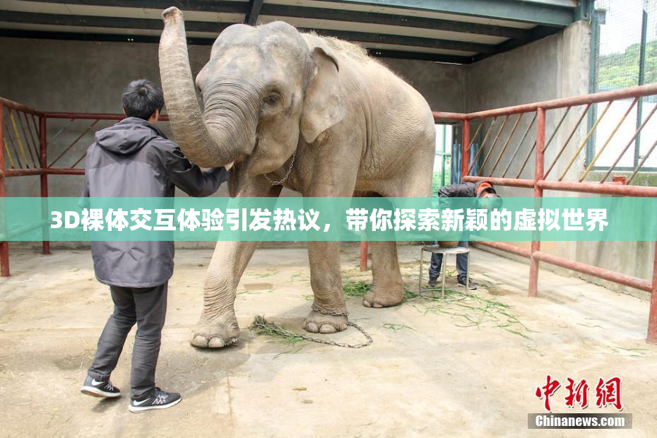 3D裸体交互体验引发热议，带你探索新颖的虚拟世界