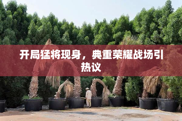 开局猛将现身，典重荣耀战场引热议
