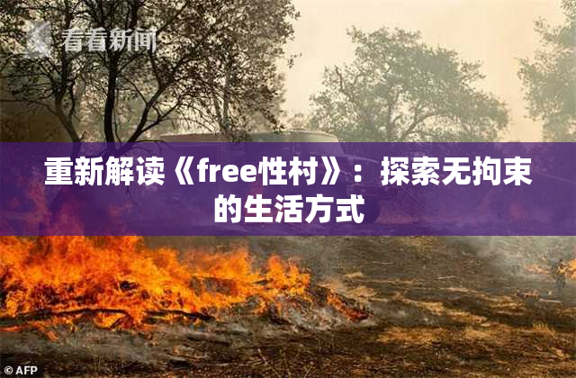 重新解读《free性村》：探索无拘束的生活方式