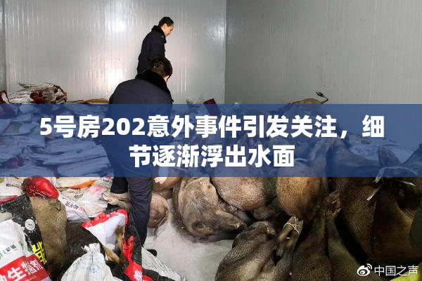 5号房202意外事件引发关注，细节逐渐浮出水面