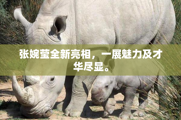 张婉莹全新亮相，一展魅力及才华尽显。