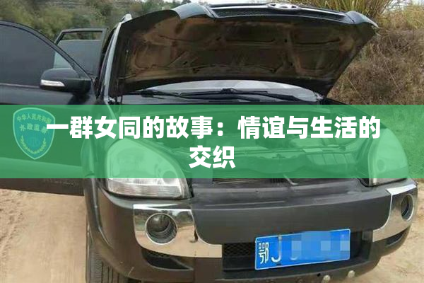 一群女同的故事：情谊与生活的交织