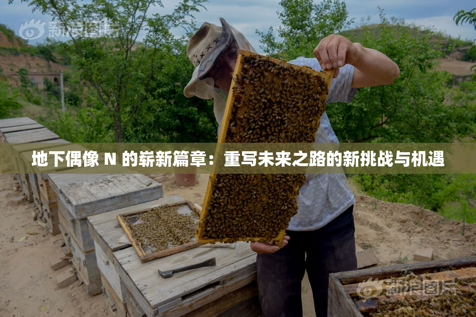 地下偶像 N 的崭新篇章：重写未来之路的新挑战与机遇