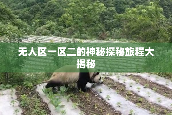 无人区一区二的神秘探秘旅程大揭秘