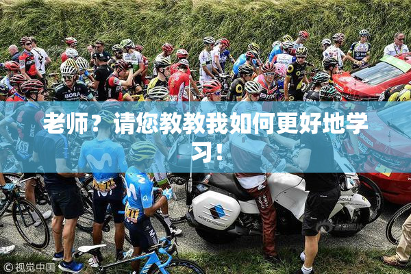 老师？请您教教我如何更好地学习！
