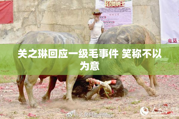 关之琳回应一级毛事件 笑称不以为意