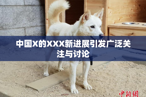 中国X的XXX新进展引发广泛关注与讨论