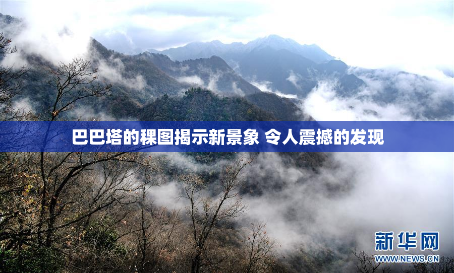 巴巴塔的稞图揭示新景象 令人震撼的发现