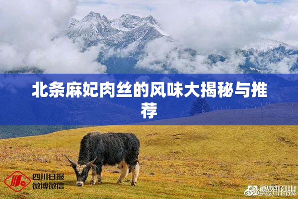 北条麻妃肉丝的风味大揭秘与推荐