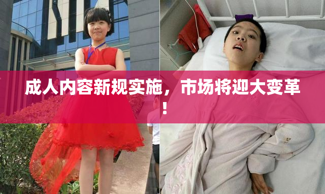 成人内容新规实施，市场将迎大变革！