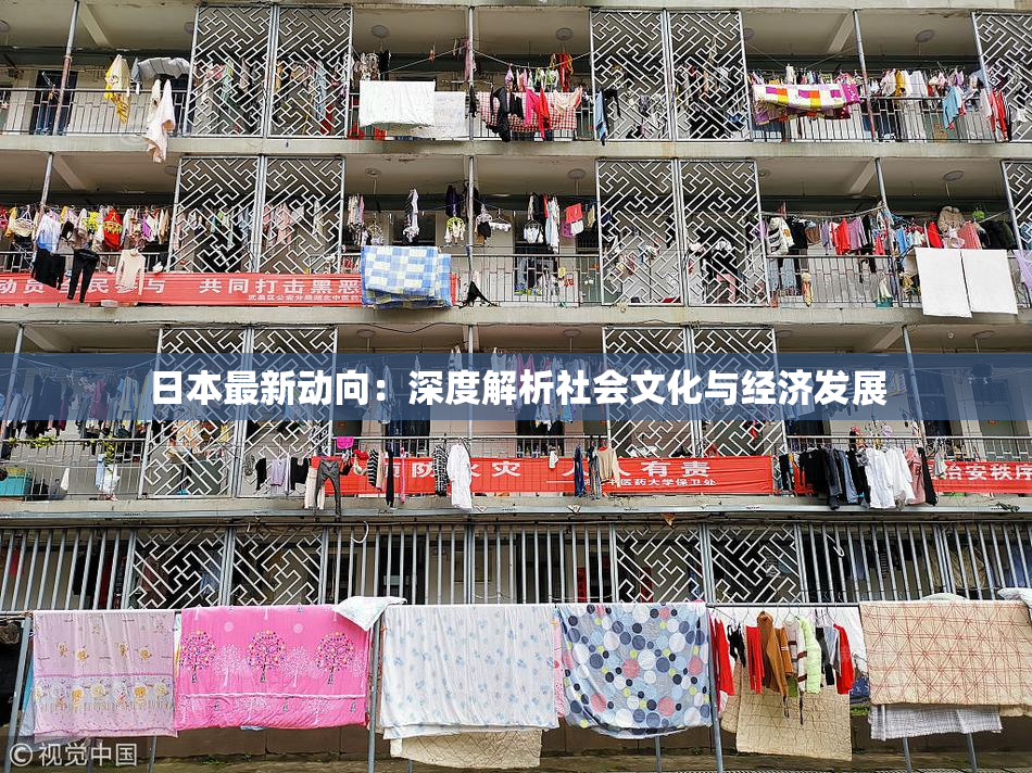 日本最新动向：深度解析社会文化与经济发展