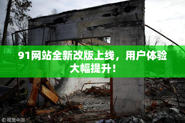 91网站全新改版上线，用户体验大幅提升！
