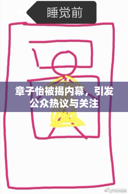 章子怡被揭内幕，引发公众热议与关注